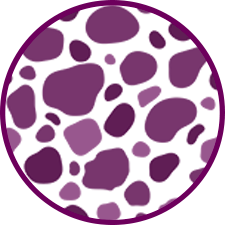 ikona-terroir-150